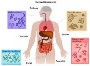 Indian Human Microbiome Initiative UPSC - IAS PIB