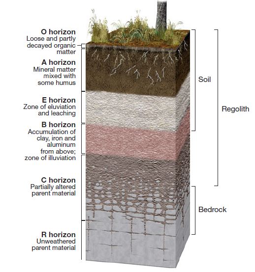 Laterite | Soil layers, Soil, Soil texture