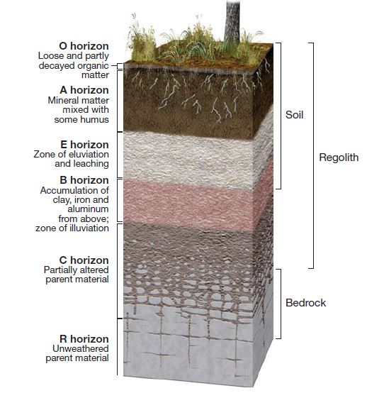 Soil Profile And Its Horizons Diagram And Layers Digitally Learn