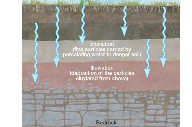 eluviation, Leaching of soil upsc IAS geography optional PCS