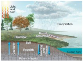 Genesis of Soil Structure | Geography Optional | UPSC – Digitally learn