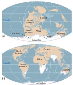 Alfred Wegener’s theory of continental drift and Evidence – Digitally learn