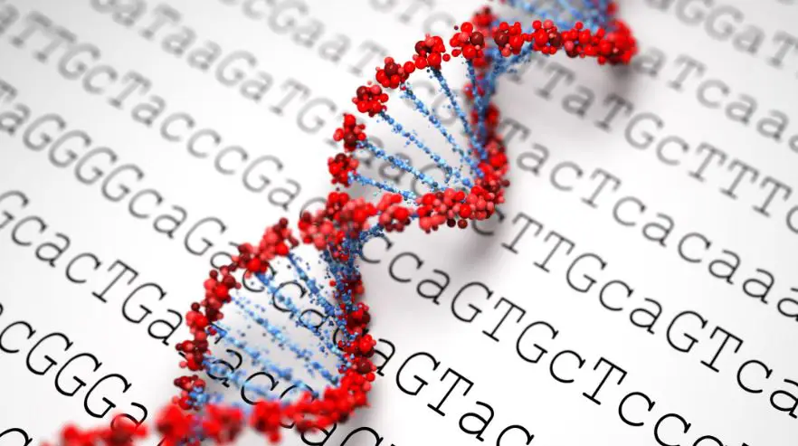 Genome Sequencing Significance in India CSIR UPSC - IAS