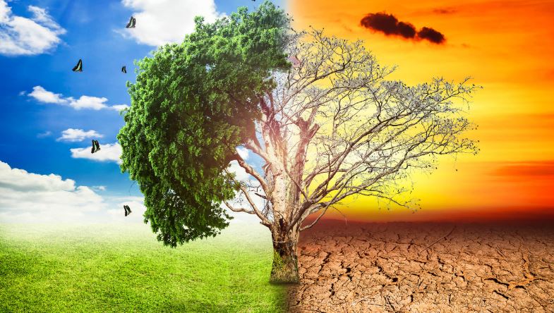 Global warming effects Acid rain, Greenhouse, Ozone Depletion, Deforestation UPSC IAS