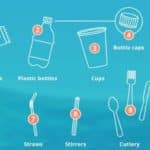 Harmful effects of single use plastic on environment | UPSC – IAS