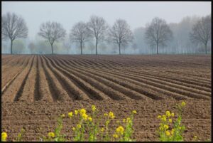 land holding in India | UPSC - IAS