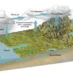 Hydrological cycle in detail description | UPSC