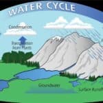 Hydrological cycle: Types of Rainfall UPSC
