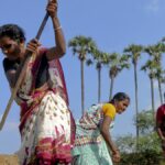 Have earnings grown post-pandemic? - The Hindu