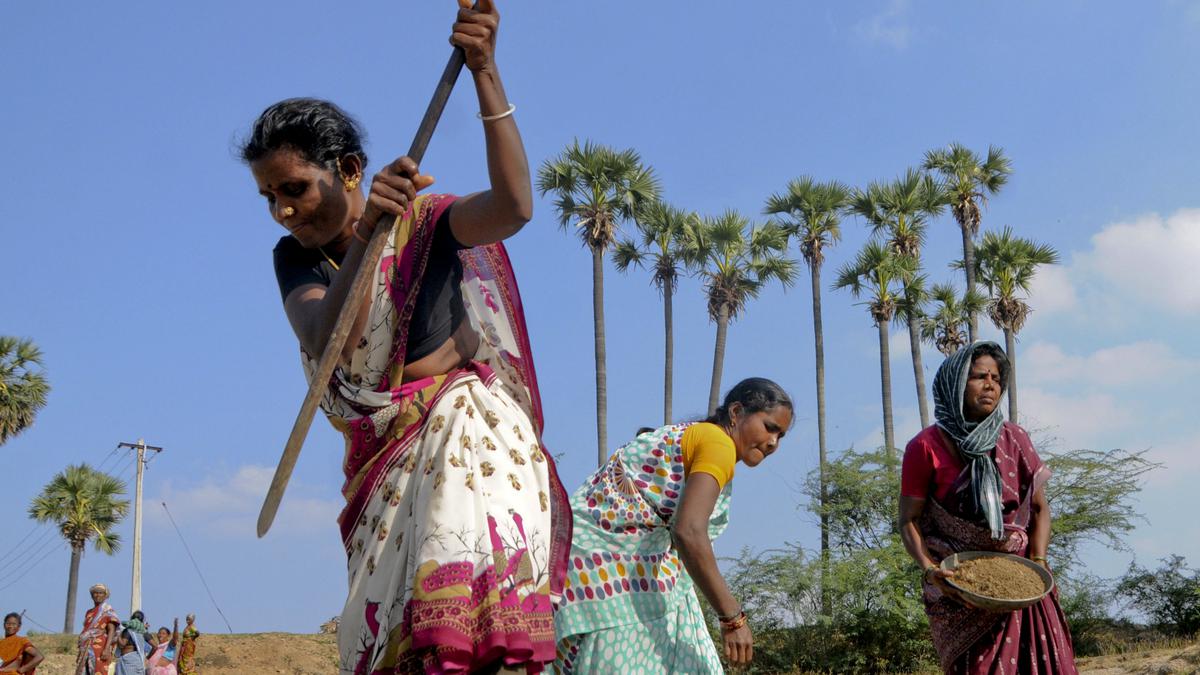 Have earnings grown post-pandemic? - The Hindu