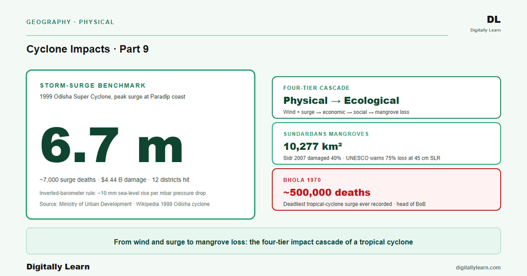 Tropical Cyclones in the Indian Ocean Part 9: Cyclone Impacts and Coastal Vulnerability