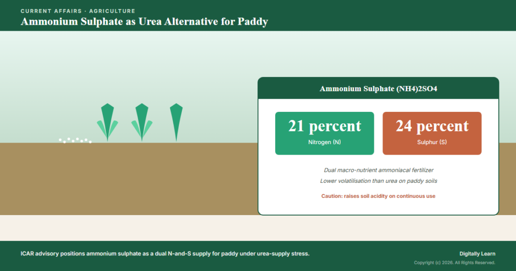 Ammonium Sulphate as Urea Alternative for Paddy: ICAR Advisory (May 2026)