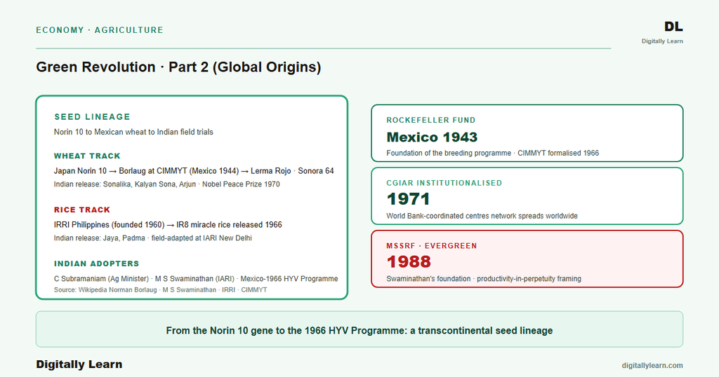 Green Revolution Part 2: Global Origins and Indian Adoption (Borlaug, Swaminathan, HYV Seeds)