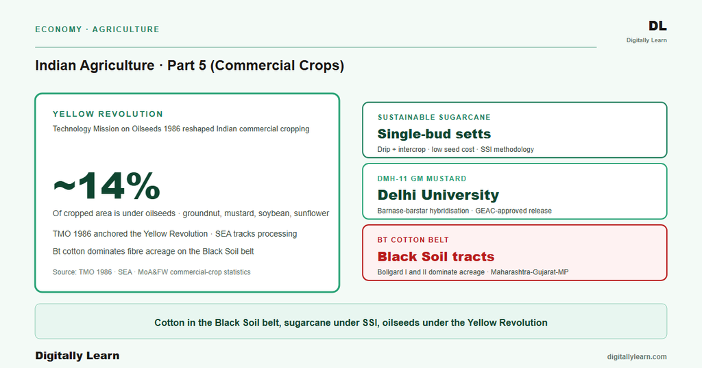 Agriculture Part 5: Commercial Crops (Cotton, Sugarcane, Oilseeds, Jute)