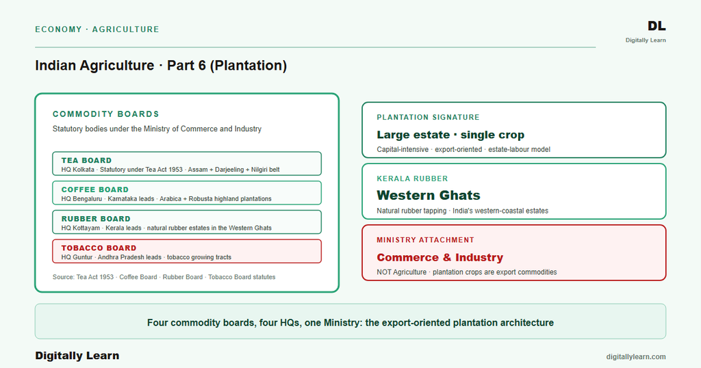 Agriculture Part 6: Plantation Agriculture (Tea, Coffee, Rubber)