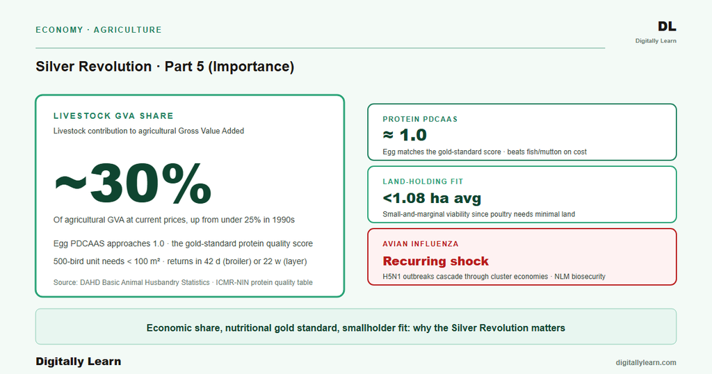 Silver Revolution Part 5: Economic, Nutritional, and Social Importance of Indian Poultry