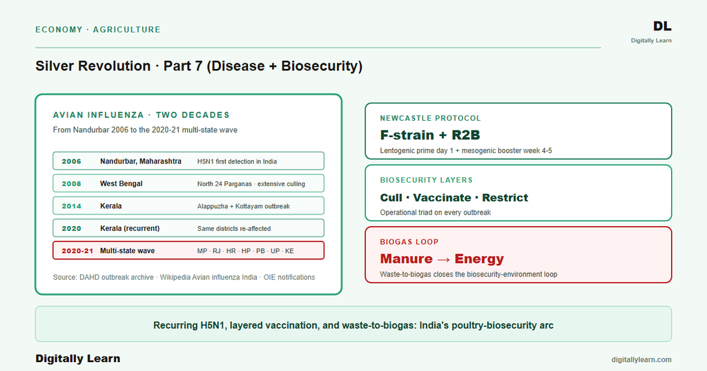 Silver Revolution Part 7: Environment, Disease, and Biosecurity in Indian Poultry