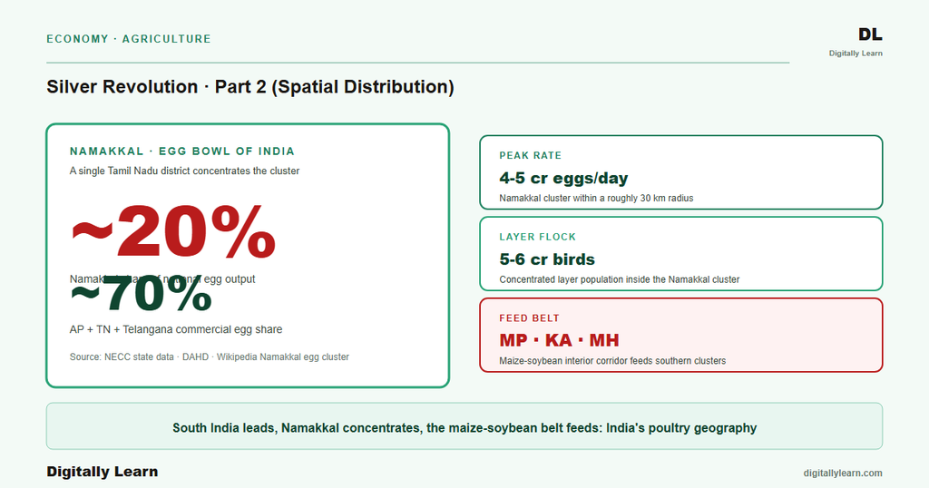 Silver Revolution Part 2: Spatial Distribution and State Geography of Indian Poultry